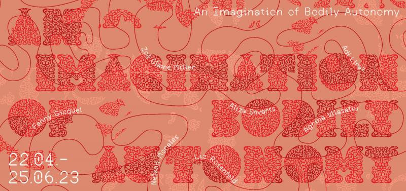 Auf einem rosa Hintergrund ist in einer ornamentalen Schrift der Titel der Ausstellung "An Imagination of Bodily Autonomy" zu lesen. Darüber ziehen sich rote Linien sowie in weiß die Namen der Künstler:innen.