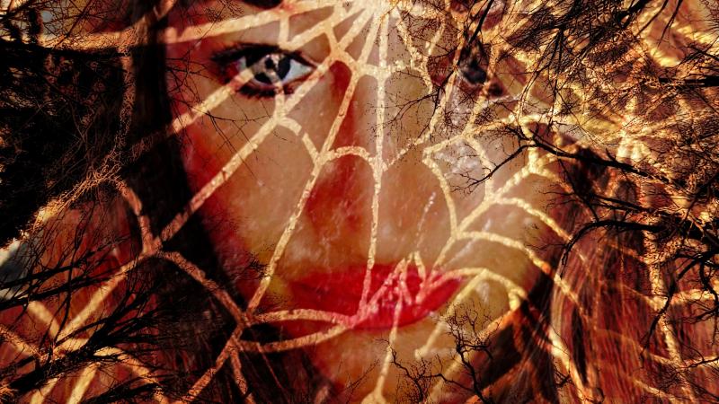 Die Künstlerin Anne Verheyen verbirgt ihr Gesicht hinter einem goldenen Spinnen-Netz
