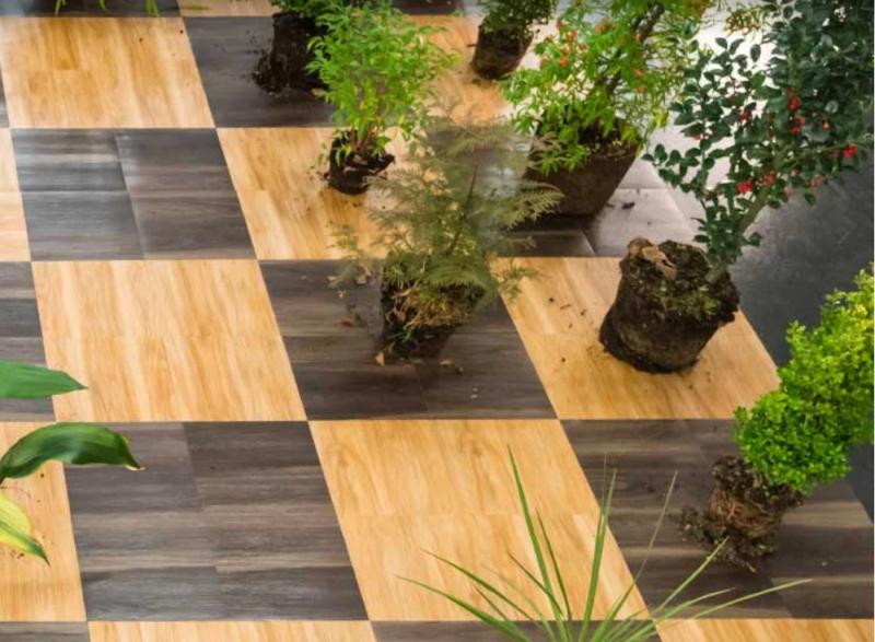 Chess installation with plants