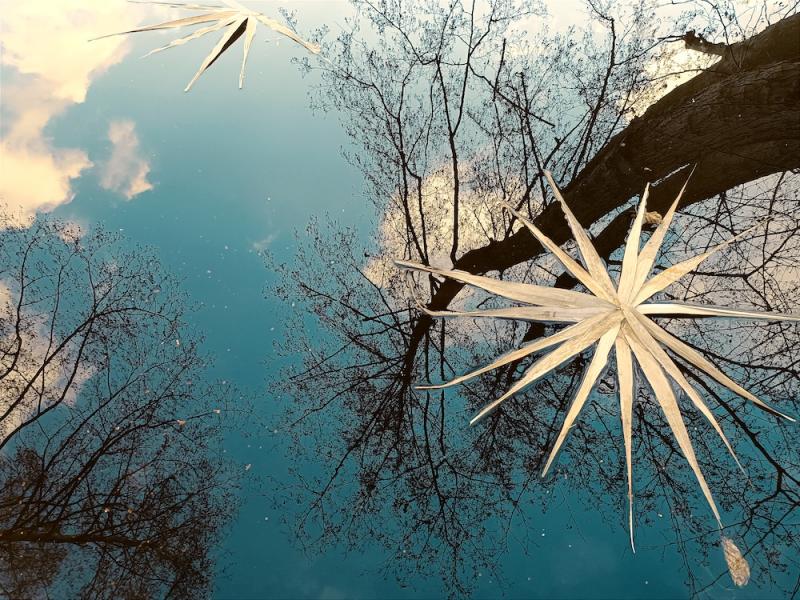 Land Art_S.Brost