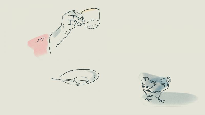 digitale Zeichnung von grauen Linien auf cremefarbenem Hintergrund mit Pinken und blauen Aquarellakzenten:  Eine alte Dame trinkt Tee während auf dem Tisch ein kleines Huhn vorbeiläuft.