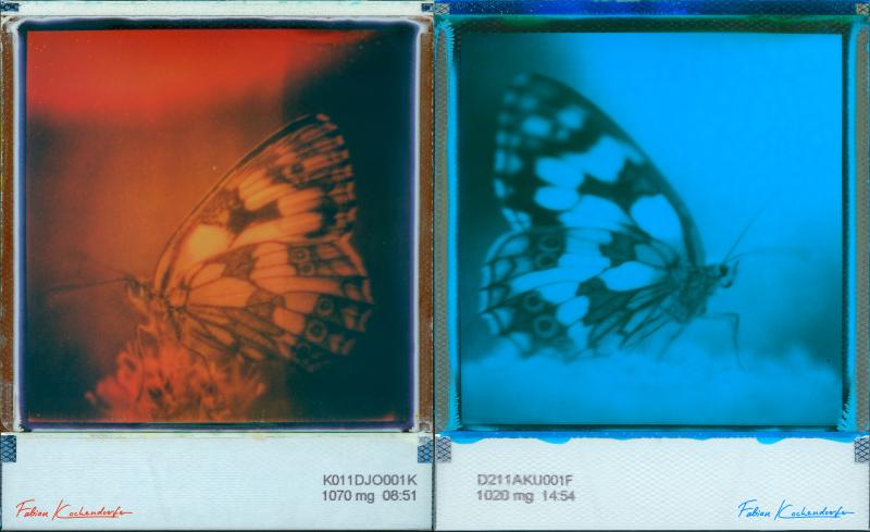 Butterfly Angel (Orange and Blue) Instant Film Art