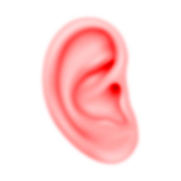 Das Neuköllner Ohr
