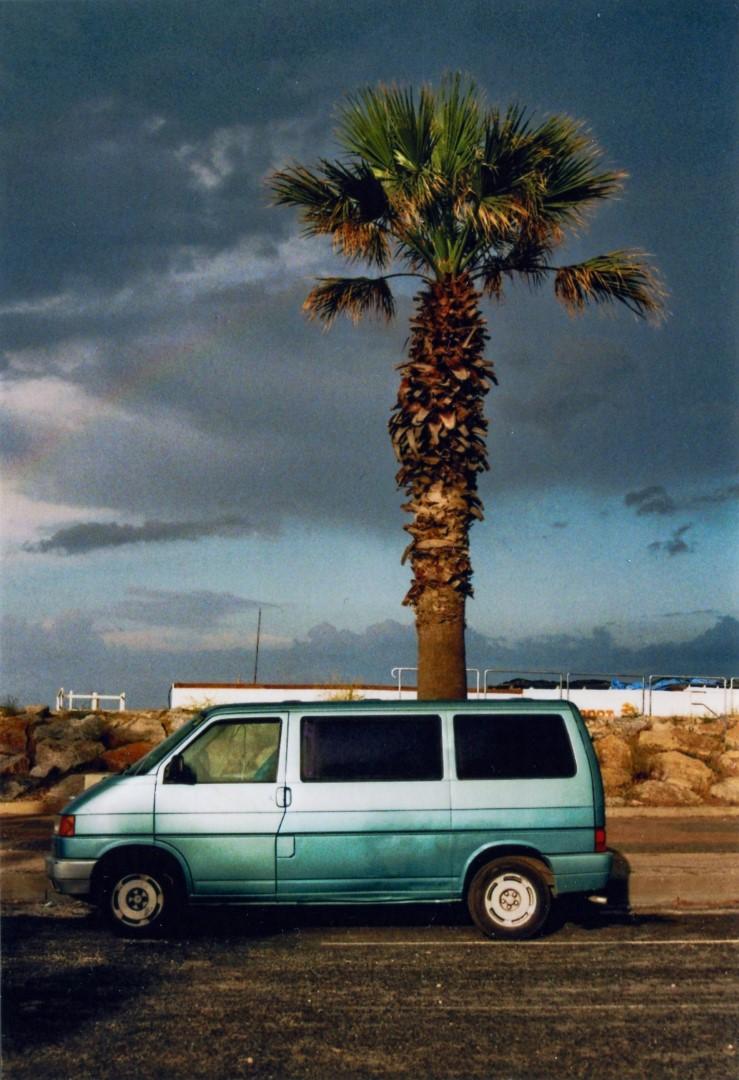 Ein türkisfarbener VW T4 Bus steht vor einer großen Palme