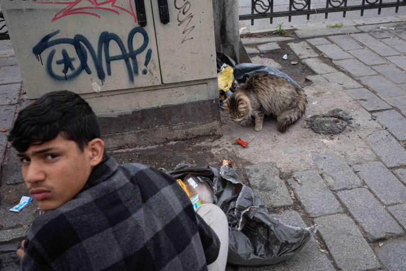 an image of a young man sitting on the ground in front of a plastic bag with food. behind him is a cat next to another plastic bag. the boy is looking into the camera
