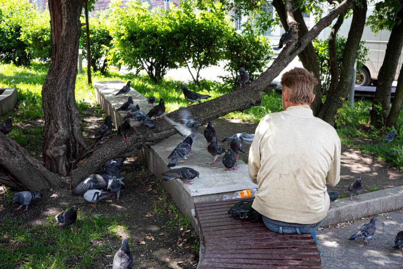 an image of a man with messy hair sitting on a bench. we see him from behind as he is feeding numerous pigeons   