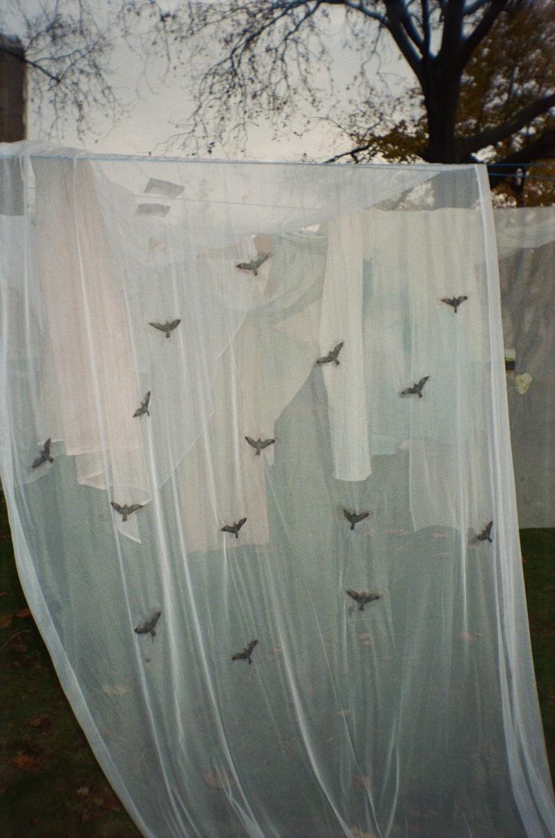 Installation "My moon" 