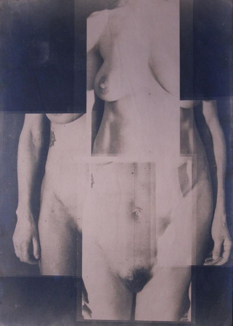Cyanotype print. Naked body
