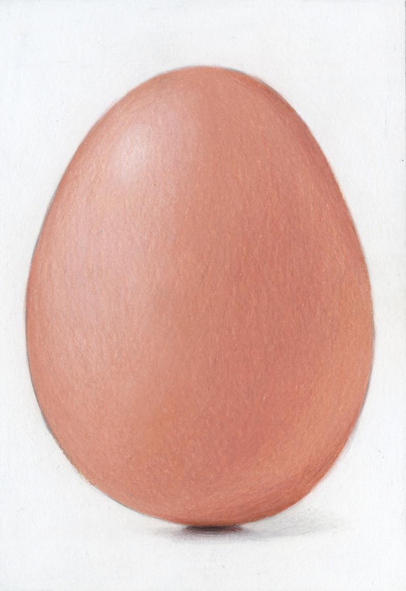 Brown Egg 