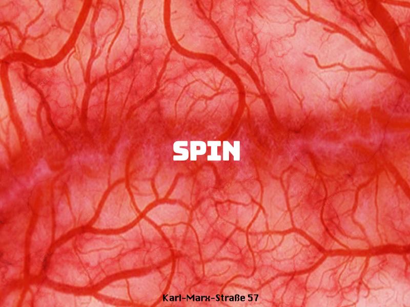 Spin