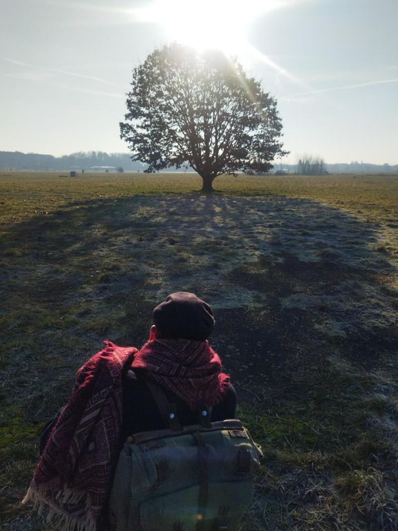 Ein Baum im Winter auf dem Tempelhofer Feld. Davor eine Person knieend.