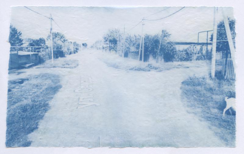 A cyanotype print on textured paper depicting a quiet residential street, captured from a Google Street View screenshot. The image shows a wide unpaved road lined with utility poles, trees, and fences, rendered in shades of blue. A white dog is visible on the right side. Text is embedded along the left side of the road. The street holds personal significance for the artist.
