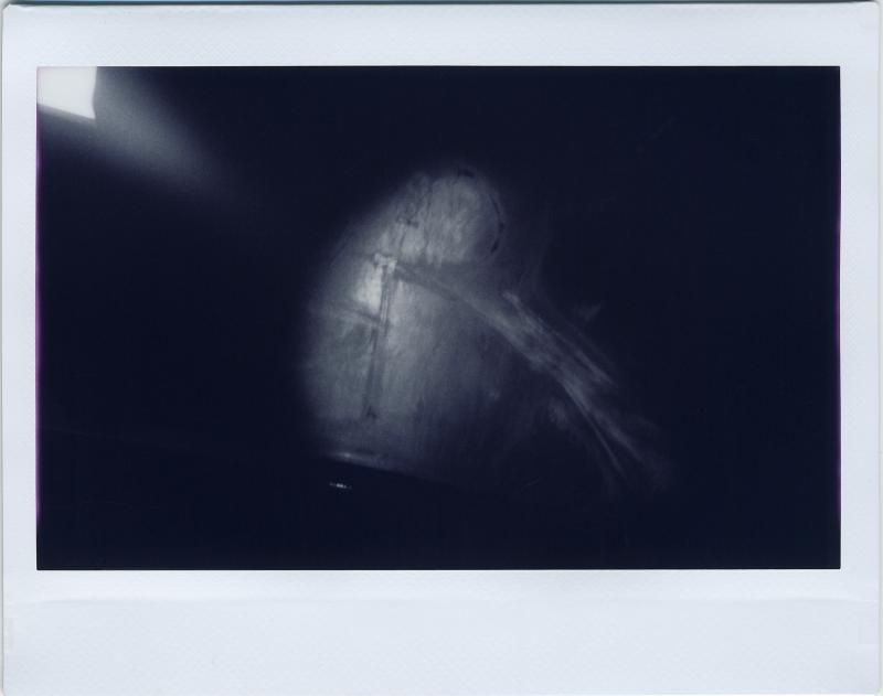 From the project "Encounters"