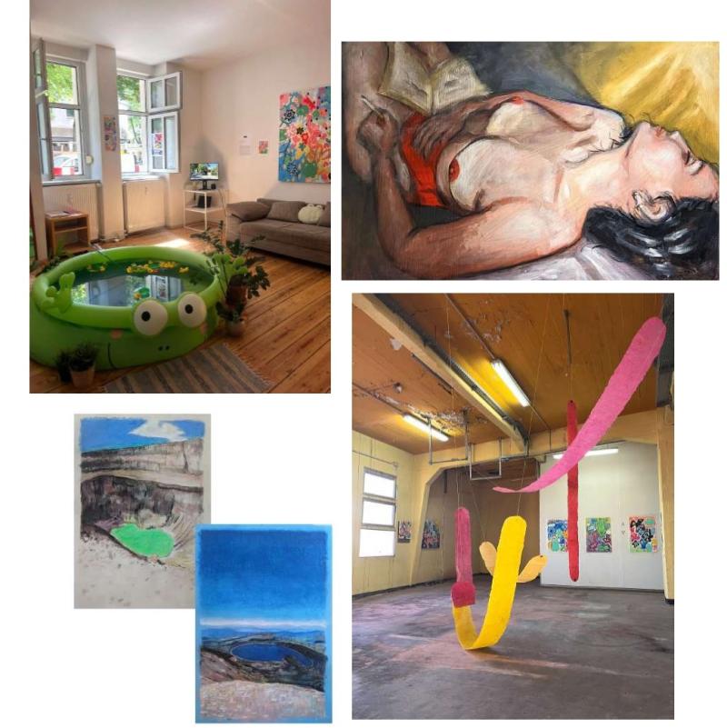 Images of the artists work including frogs, rats & immersive pool
