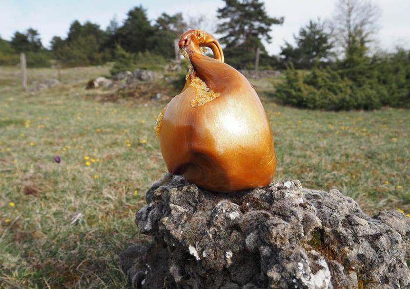 a blown shinny caramel sculpture using cristal sugar and muscovado sugar display in the causses (place in France emblematic for the rock landscapes)