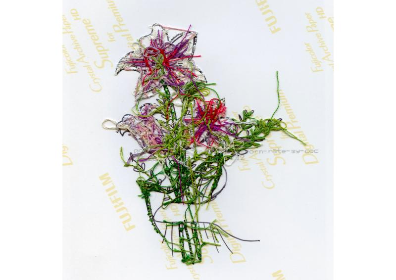 "The coach - side B", hand embroidery on photo paper