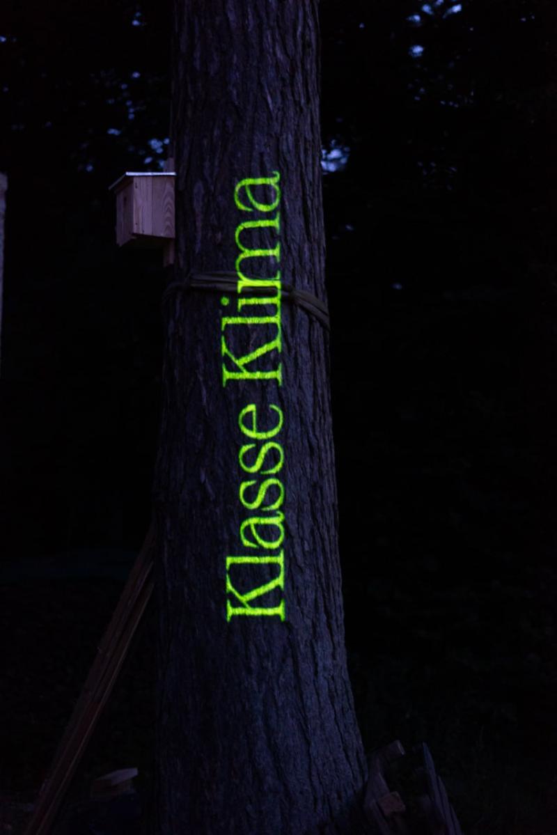 Auf einen Baum mit einem Vogelhäuschen wird mit grünem Licht "Klasse Klima" projiziert 