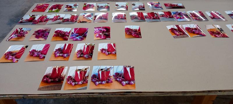 Ausgangspunkt: Fotodokumentation des vergehenden Tulpenstrausses