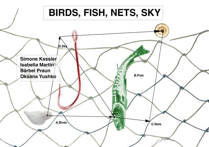 Birds, Fish, Nets, Sky 