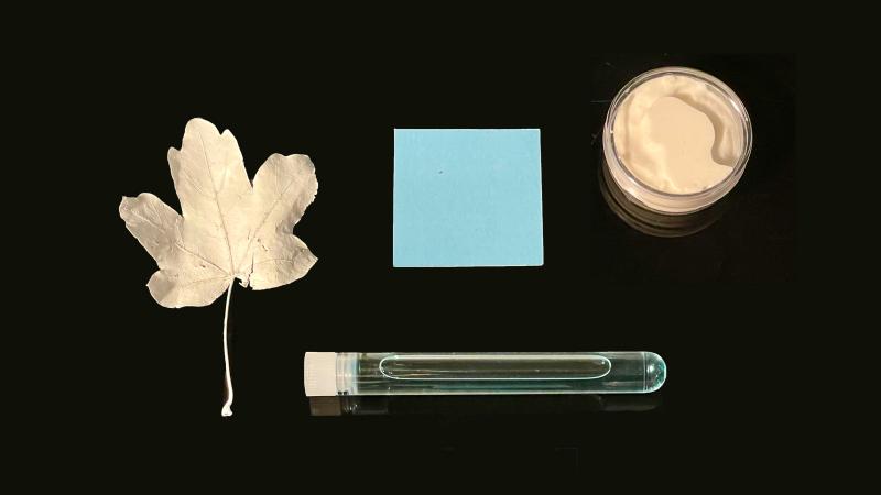 Auf schwarzem Hintergrund liegen vier Objekte: ein trockenes Blatt, eine hellblaue Karte, ein kleines Gefäß mit cremiger Substanz und ein Reagenzglas mit einer blauen Flüssigkeit.