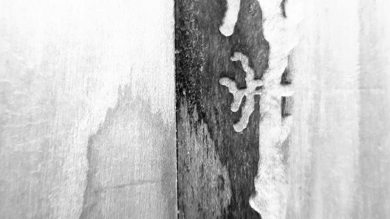 Kambium - Holztexturen/Detail einer Skulptur 