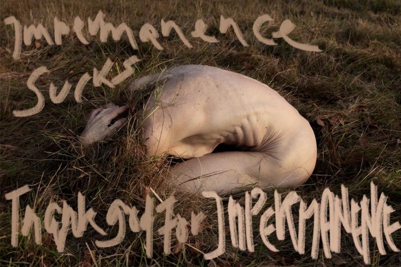 Beschreibung: kauernder Körper, Titel “Impermanence Sucks”, Gabriela Hirt