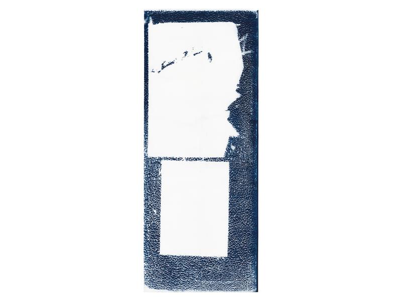 Image of Blaudruck #3 by Julien Paccard.