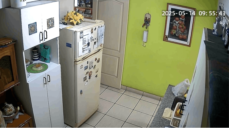 Aus der Vogelperspektive sieht man eine Küche, es hat eine Überwachungskameraästhetik. Die Wand hinten ist grün gestrichen, es hängt ein Bild daran. Links sieht ma einen weißen und braunen Schrank und einen cremefarbenen Kühlschrank mit Magneten. Auf der rechten Seite ist der Blick durch das weiße Hängeregal etwas auf die Spüle versperrt.