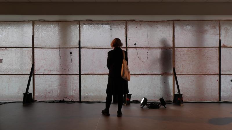 Man sieht die Rückenansicht einer Person vor einer Wand aus semi-transparenten, rosa-farben Flächen stehen. Auf der anderen Seite der Wand ist die verschwommene Silhouette einer zweiten person auszumachen.  