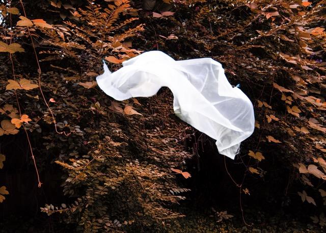 A translucent white fabric drapes and floats over dense foliage with orange and brown leaves, suspended above a dark hollow in a forested area, creating a ghostlike, sculptural presence against the autumn plants.