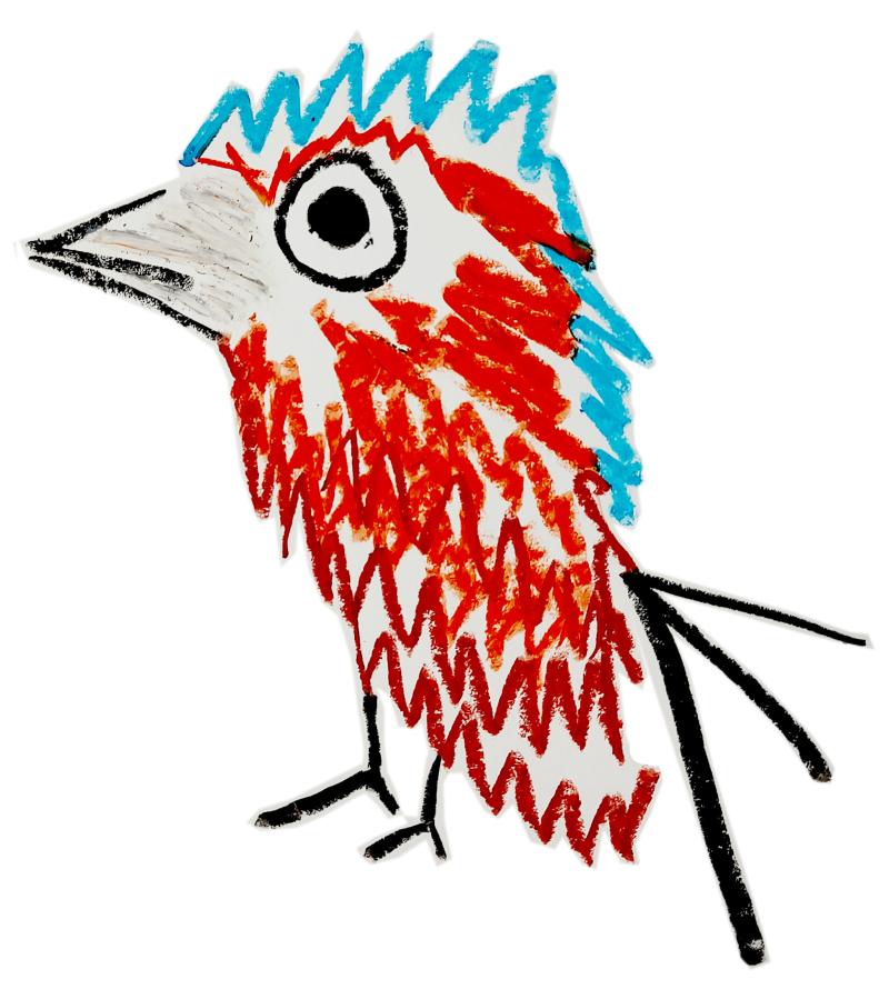Punkfink