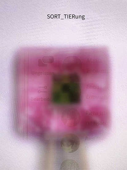 blurred/censored meat fields with a little point of moss/plant square in the middle