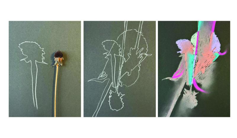 Ablauf Workshop "Fluid frames"