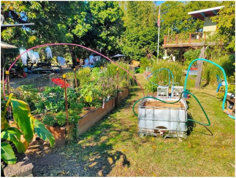 A community garden with raised vegetable beds surrounded by tall grasses and leafy trees. Colorful hoses arch over the beds like irrigation hoops, connected to a large white water tank in the foreground. In the background, a small house with a wooden balcony overlooks the garden on a sunny day.