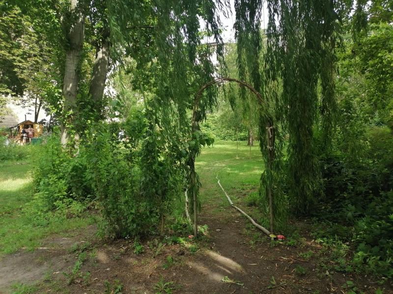 der wilde, grüne Garten in der Hertzbergstraße