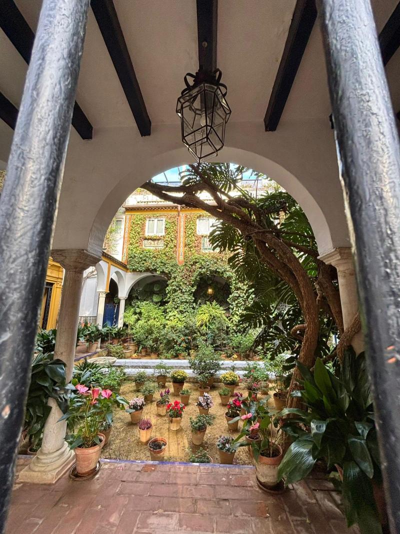 Cordoba, grüne Innenhof, wo drin eine oase ist.
