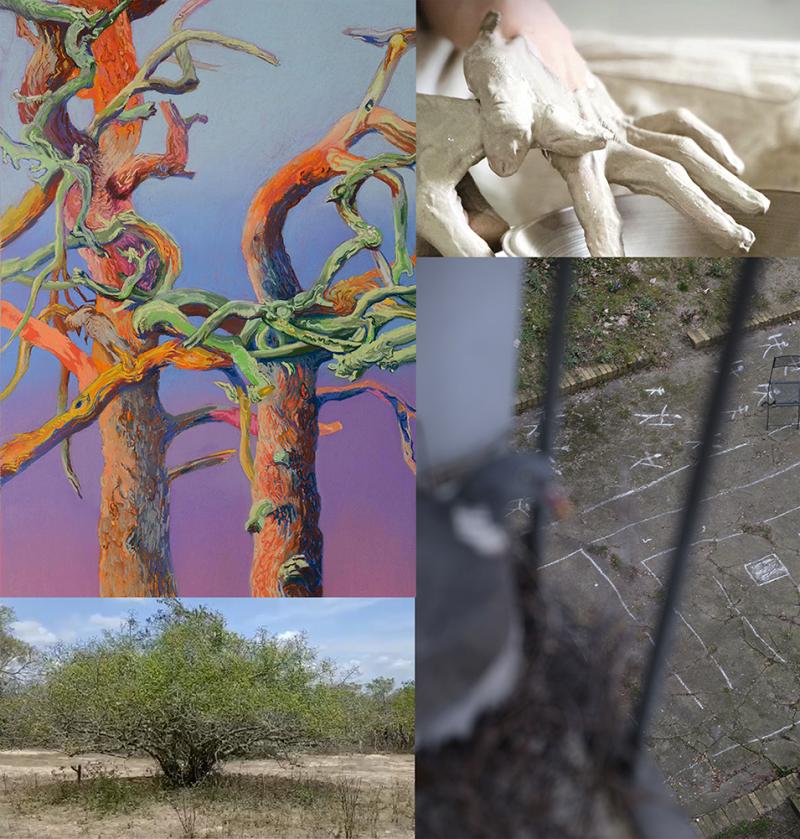 Four images: a colorful painting of tree branches, a hand working with clay, an imbuzeiro tree, and a detail of an urban space seen through a barred window