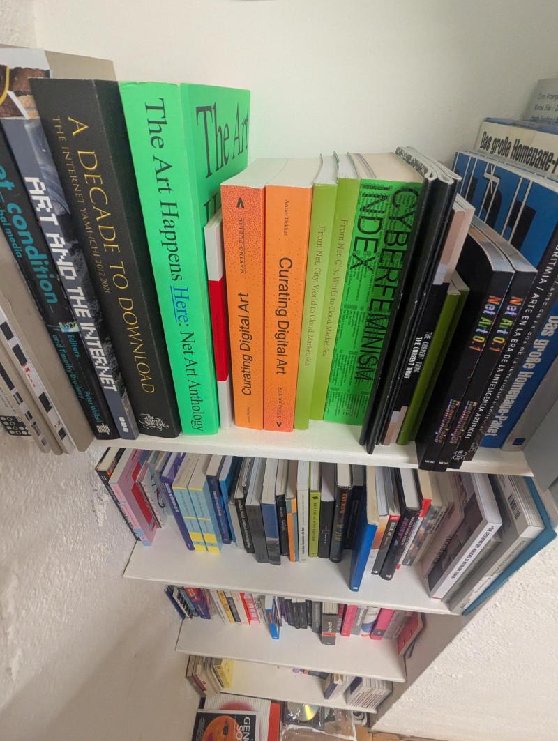Bibliothek im Projektraum /rosa mit farbigen Büchern 