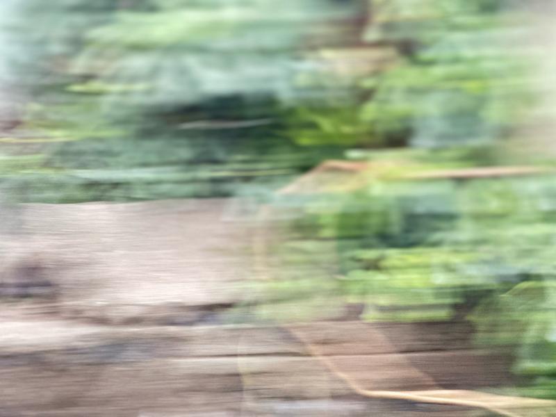 Schwenkfoto in der Natur, zeigt Landschaft und Bewegung.